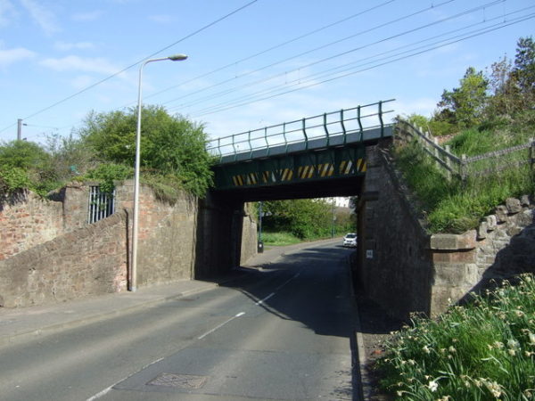 Halt Pigeon Cull in Dunbar, says Animal Welfare Party