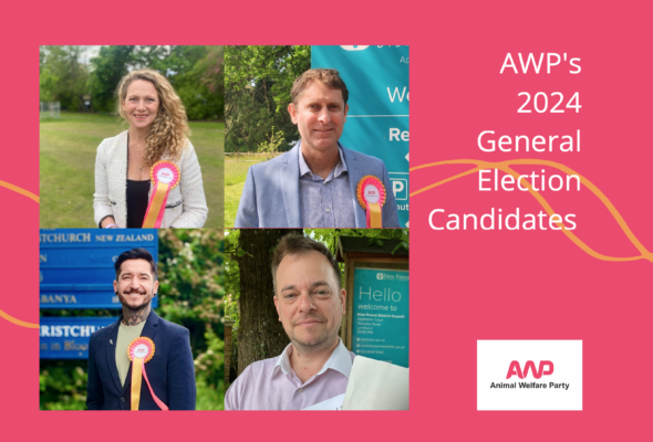 Animal Welfare Party To Stand Four Candidates in 2024 General Election